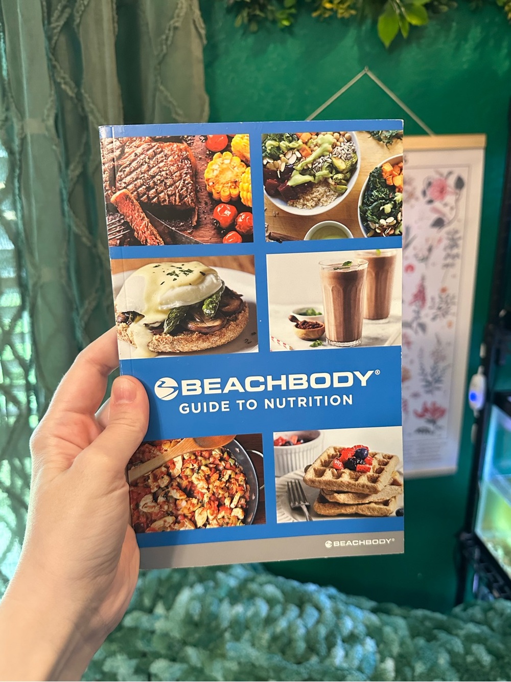 Beach Body Guide - Picture 1 of 2